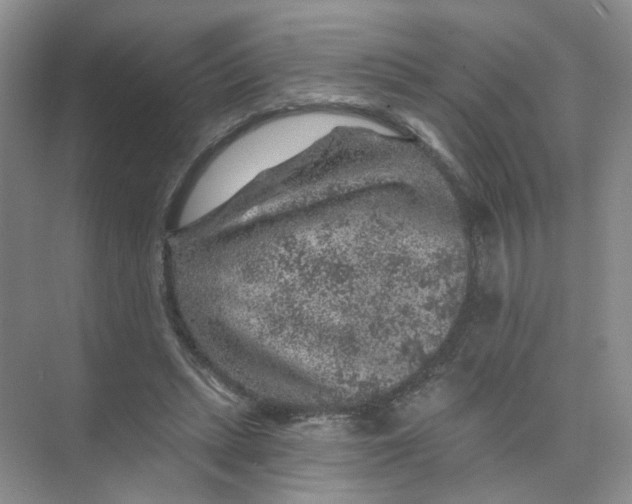 X0000074040447200609181957