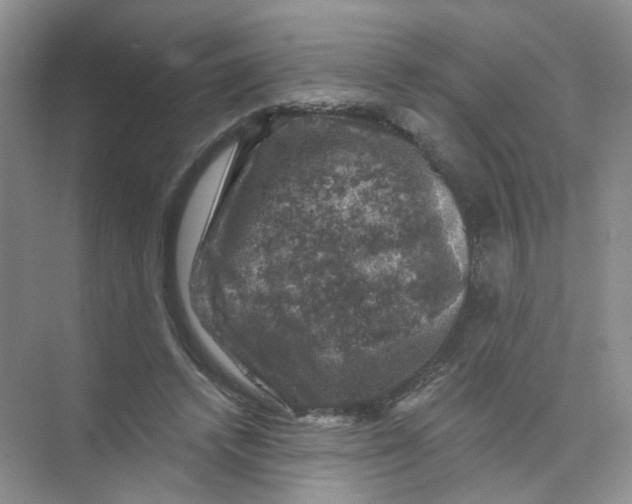 X0000074040448200609181957