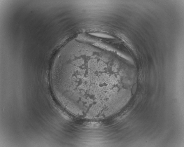 X0000074040449200609181957