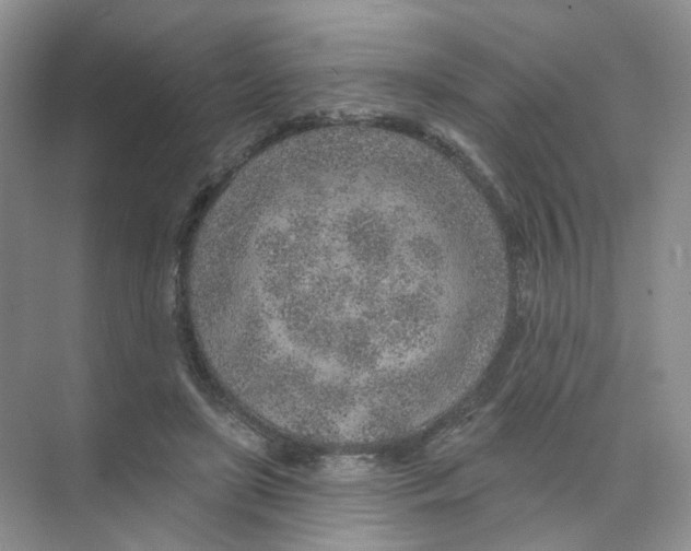 X0000074040451200609181957