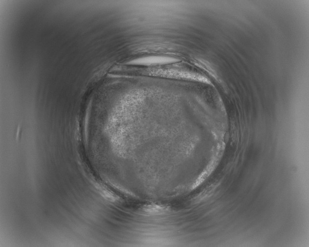 X0000074040453200609181957