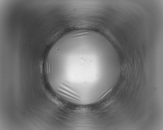 X0000074040454200609181957