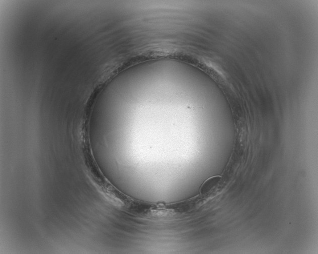 X0000074040455200609181957