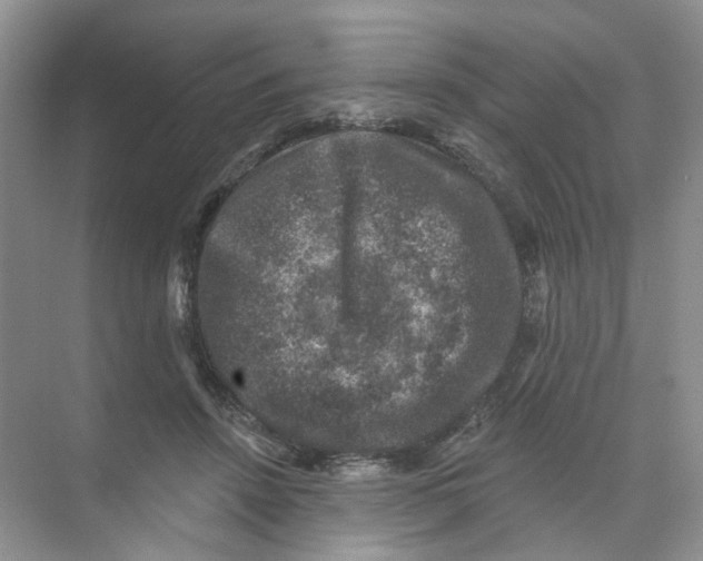 X0000074040456200609181957