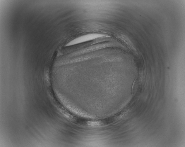 X0000074040457200609181957