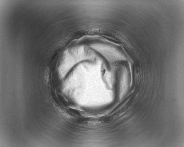 X0000074040458200609181957