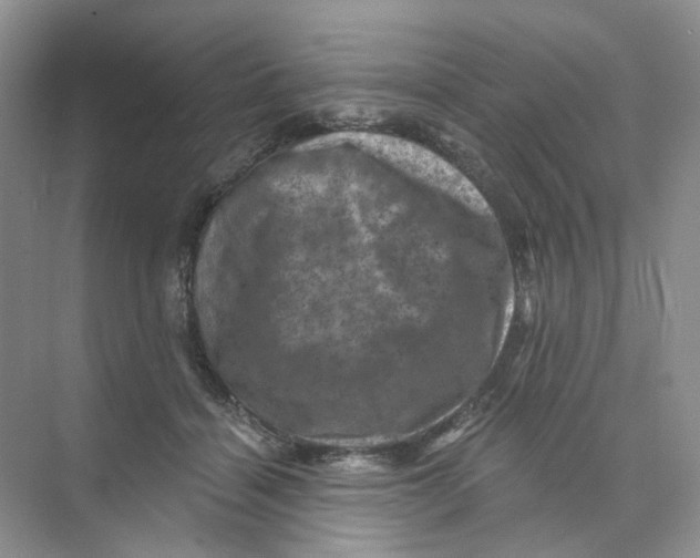 X0000074040460200609181957