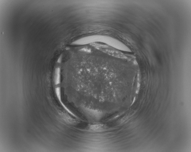 X0000074040461200609181957