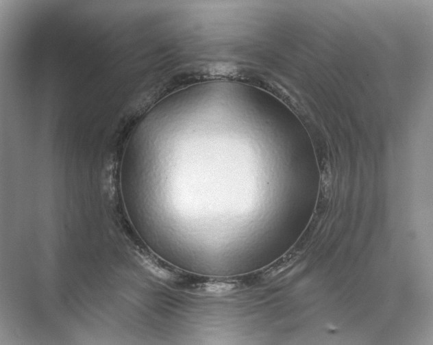 X0000074040462200609181957