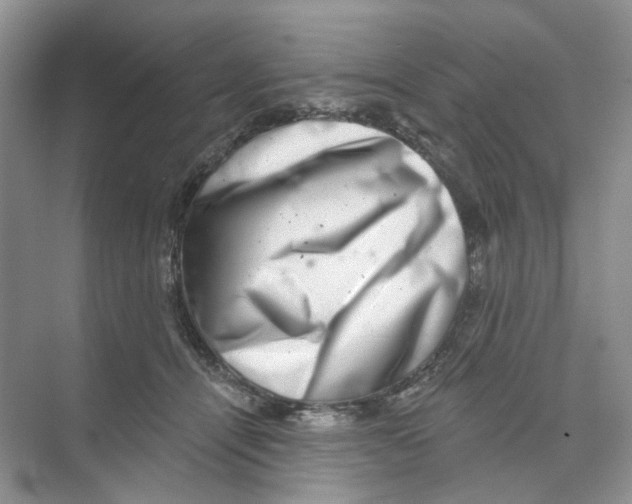 X0000074040464200609181957