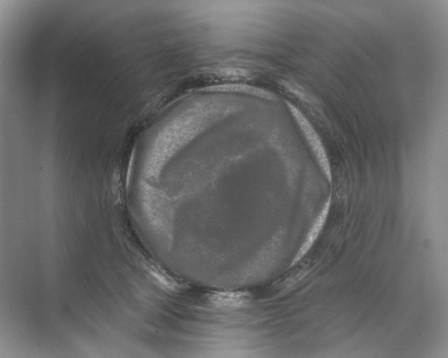 X0000074040465200609181957