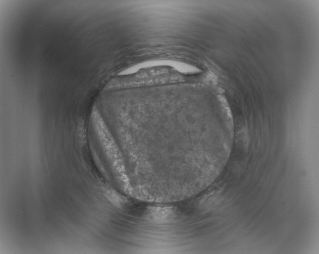 X0000074040469200609181957