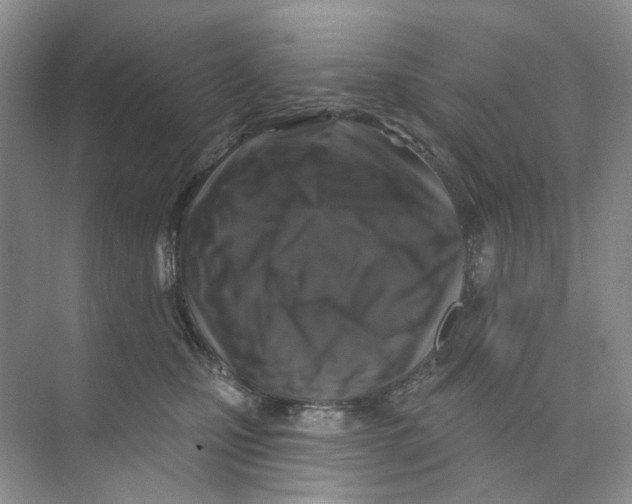 X0000074040471200609181957