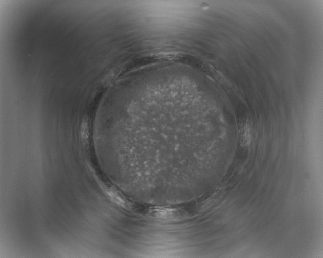 X0000074040472200609181957