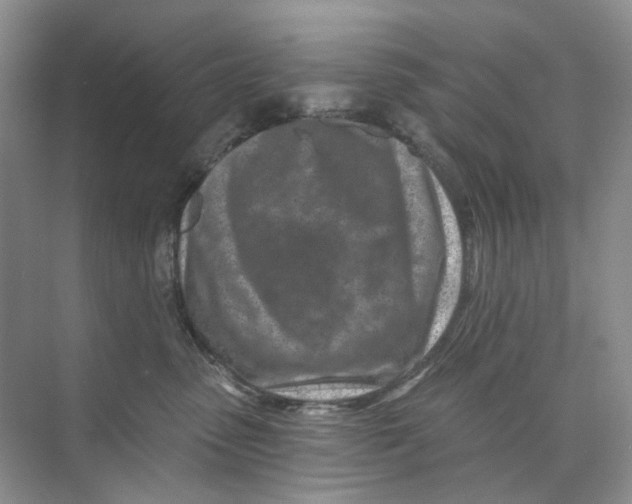 X0000074040475200609181957