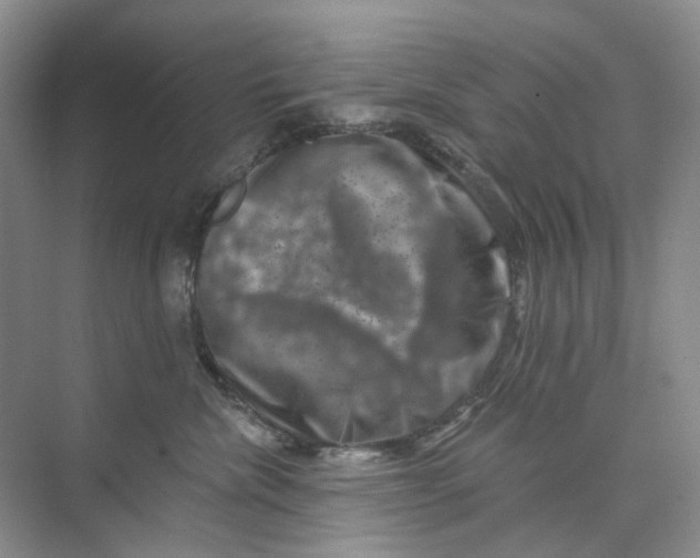 X0000074040476200609181957