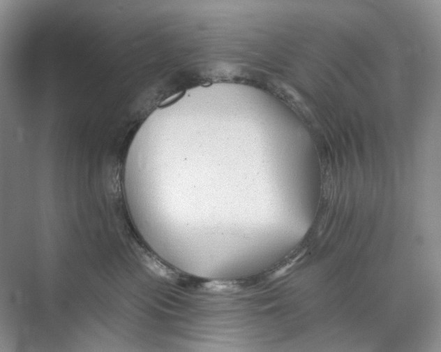 X0000074040477200609181957