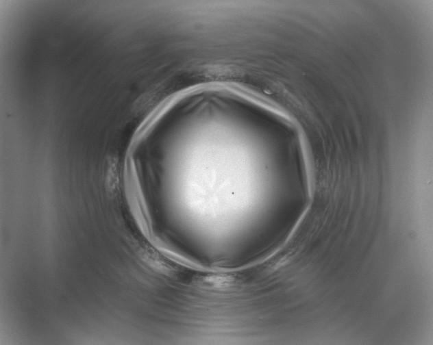 X0000074040478200609181957