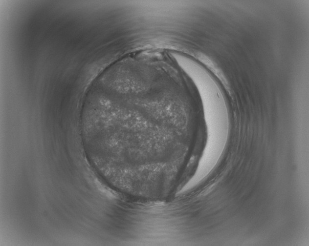 X0000074040481200609181956