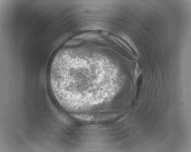 X0000074040482200609181956