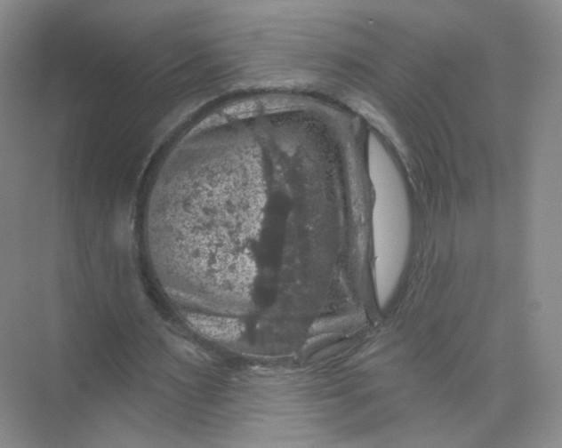 X0000074040483200609181956