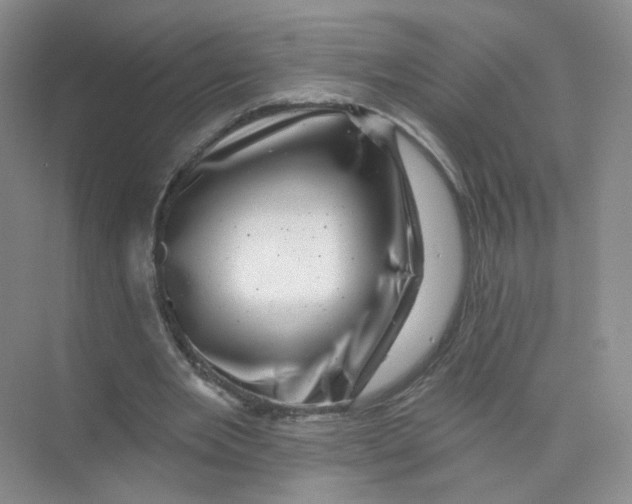 X0000074040485200609181956