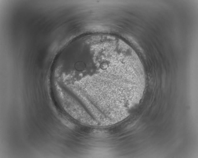 X0000074040487200609181956