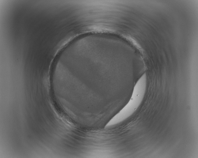 X0000074040488200609181956