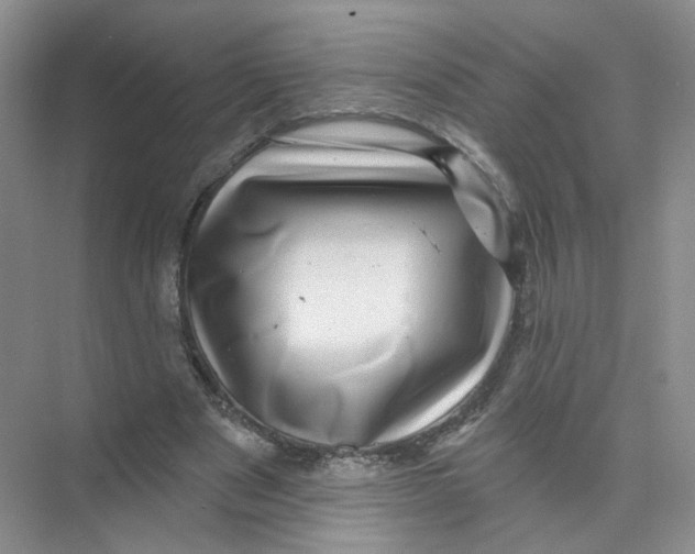 X0000074040489200609181956