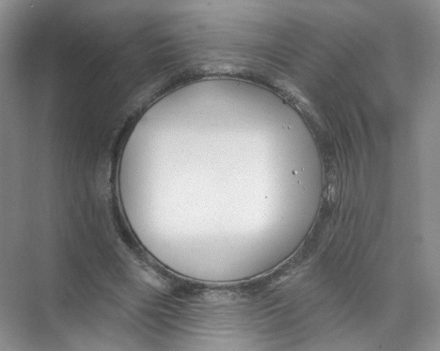 X0000074040490200609181956