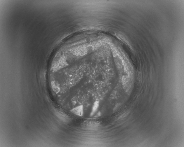 X0000074040491200609181956