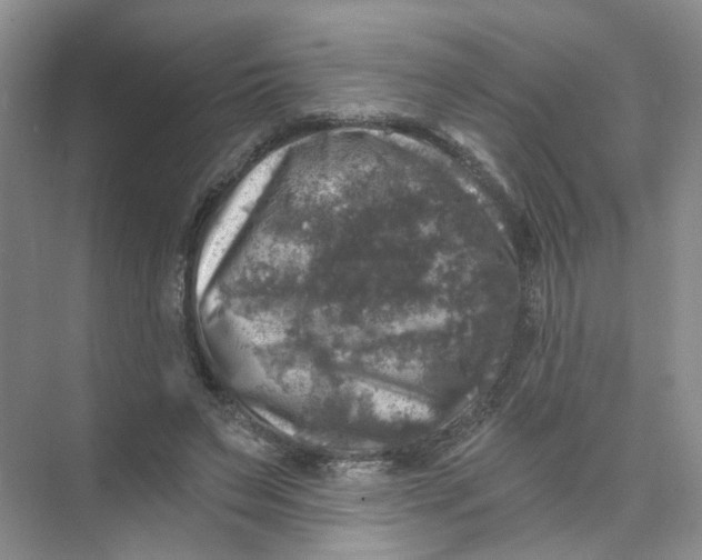 X0000074040495200609181956