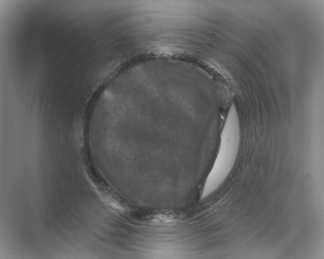 X0000074040496200609181956