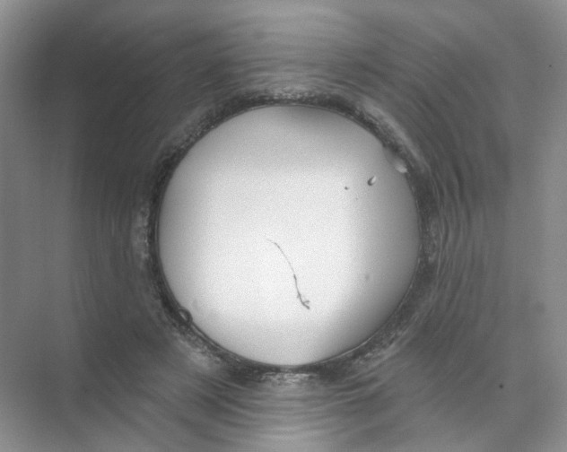 X0000074040497200609181956