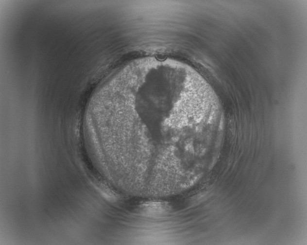 X0000074040499200609181956