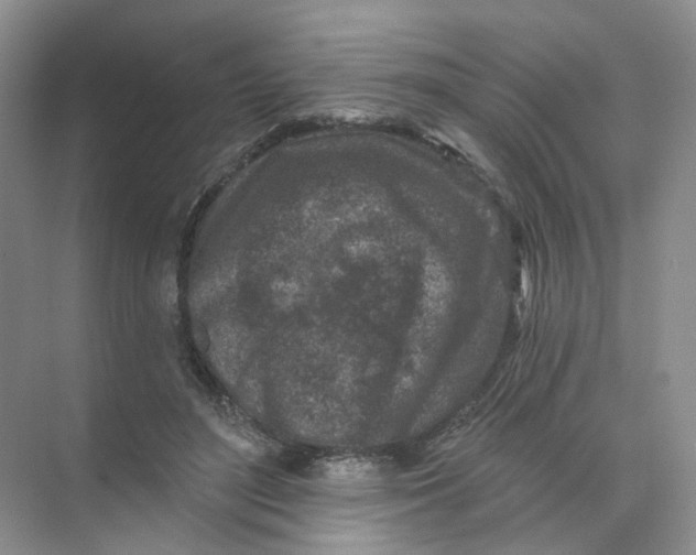 X0000074040500200609181956