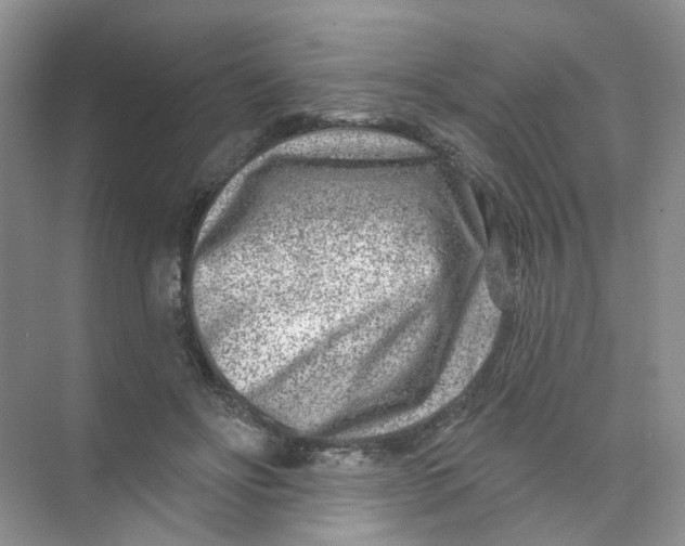 X0000074040502200609181956