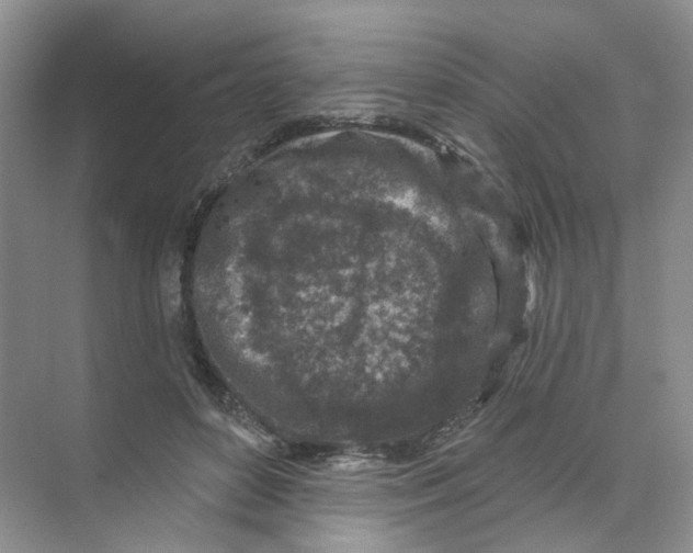 X0000074040504200609181956