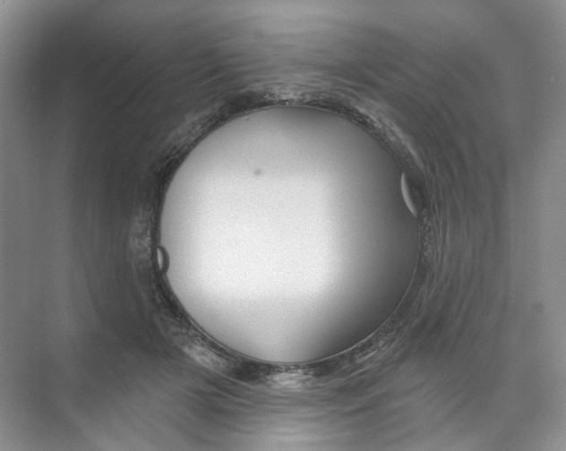 X0000074040505200609181956