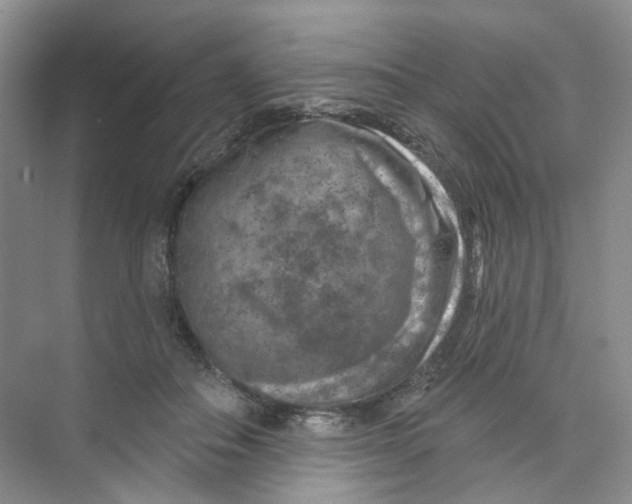 X0000074040506200609181956