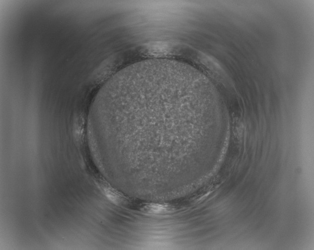 X0000074040507200609181956