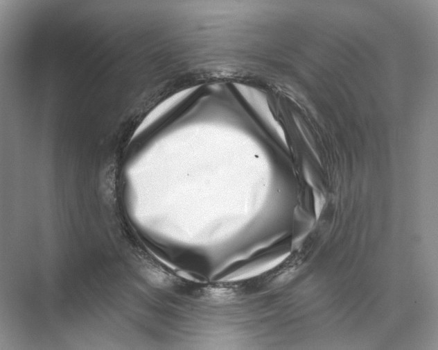 X0000074040509200609181956