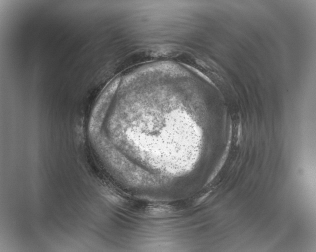 X0000074040510200609181956