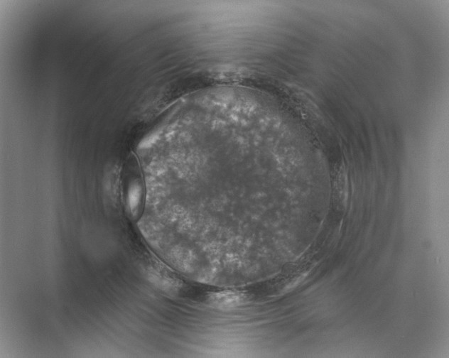 X0000074040511200609181956