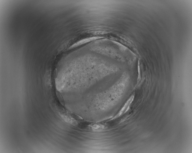 X0000074040512200609181956