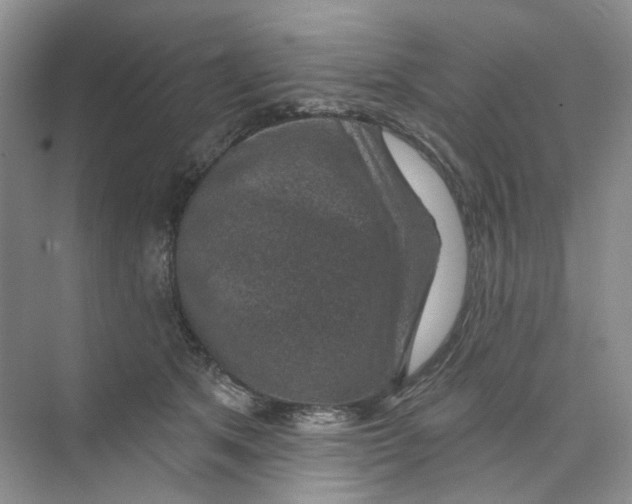 X0000074040513200609181956