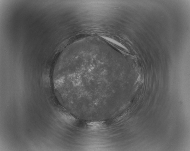 X0000074040516200609181956