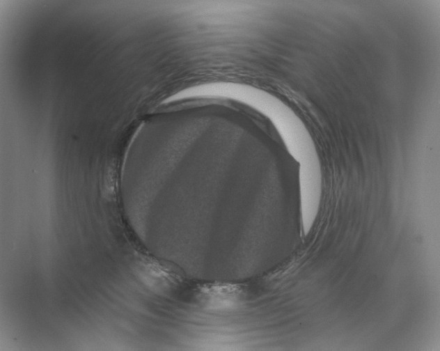 X0000074040517200609181956