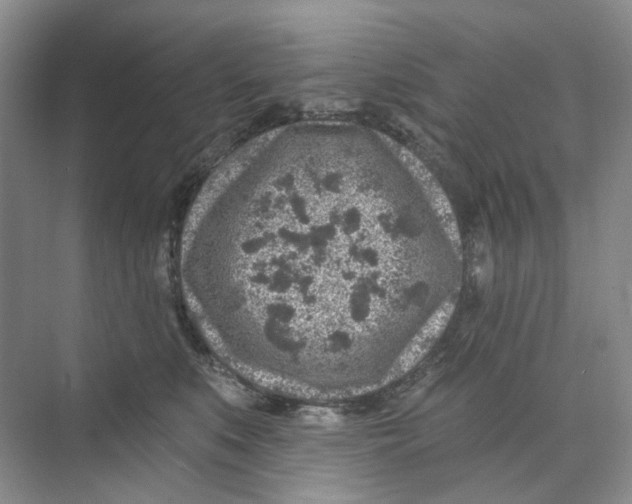 X0000074040519200609181956