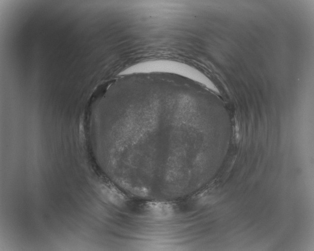 X0000074040520200609181956